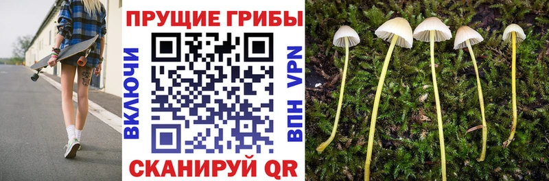МЕГА зеркало  Щёлкино  Псилоцибиновые грибы Psilocybine cubensis 