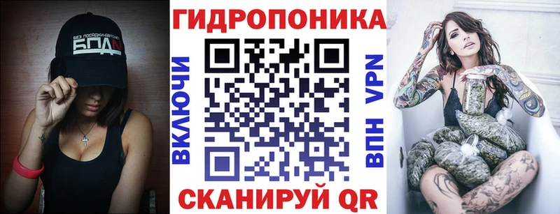 купить Щёлкино Бошки Шишки сатива